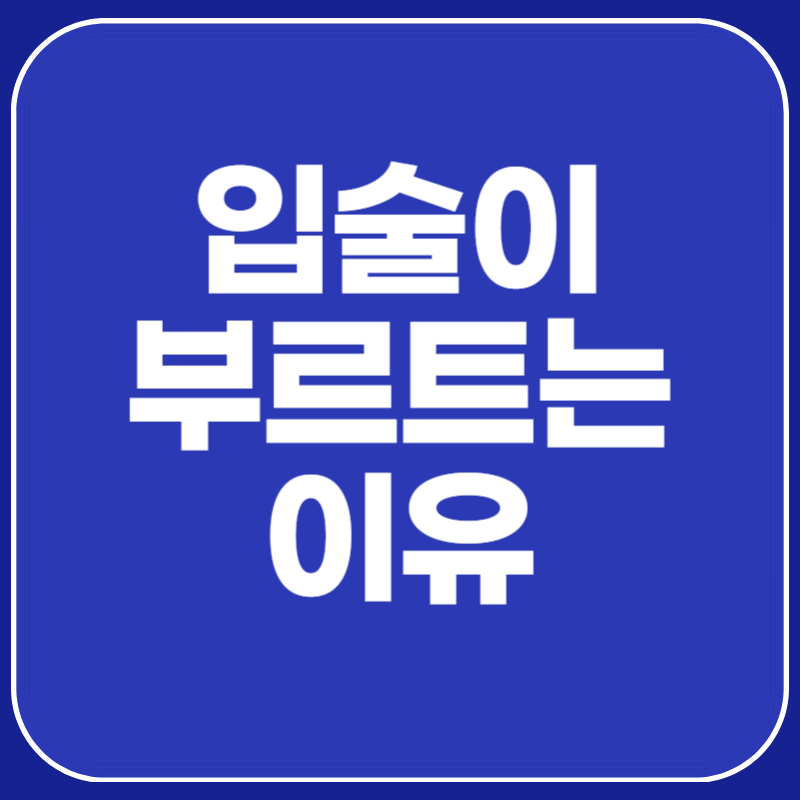 입술이 부르트는 이유