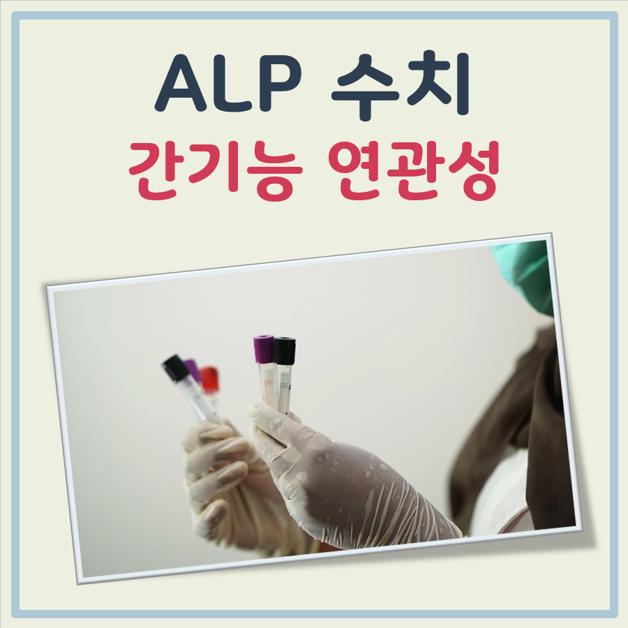 간기능 ALP수치