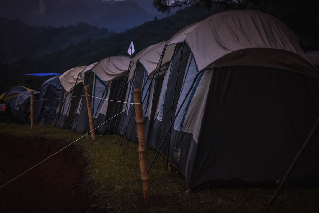 Camping.