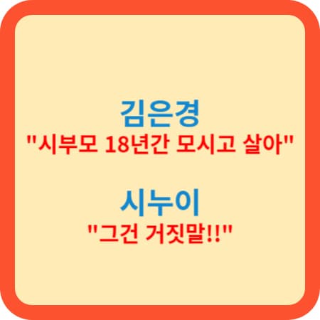 김은경 시누이 "시부모 모신거 사실아니야"