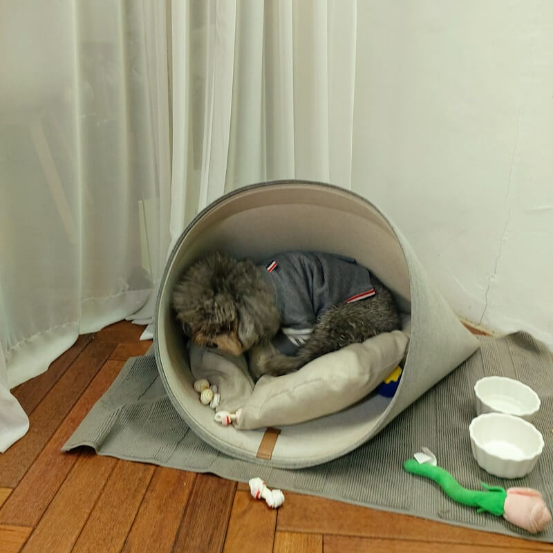 상수 실루엣 커피 강아지 먹구름