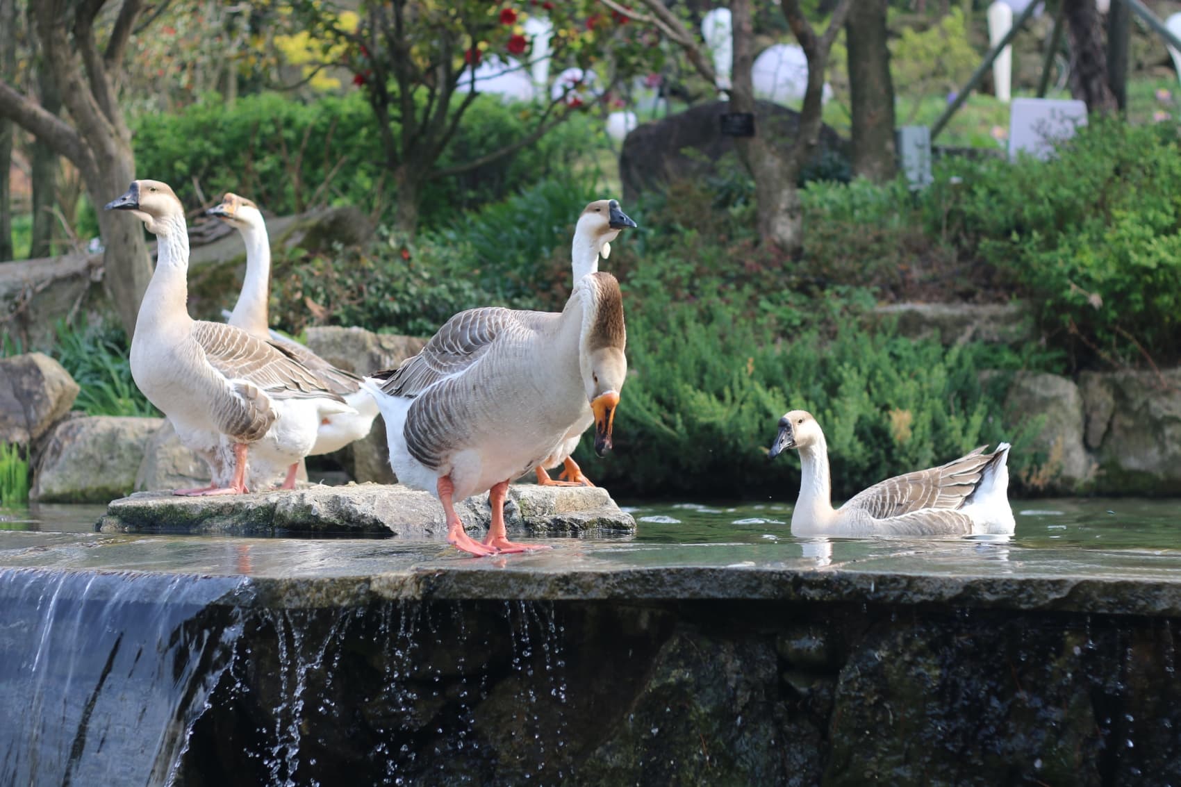 대구 아이와 가볼만한 곳 : 네이처파크