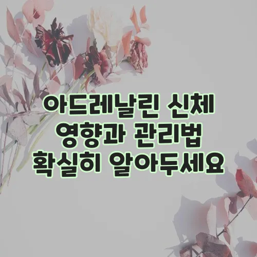 아드레날린 신체 영향과 관리법 확실히 알아두세요
