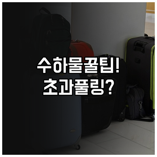 타이에어아시아엑스 수하물 규정 확인 ..