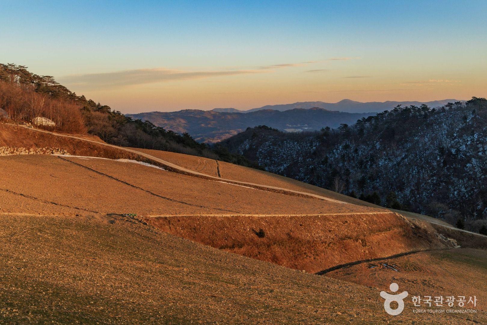 강릉 가볼만한 곳 BEST 10