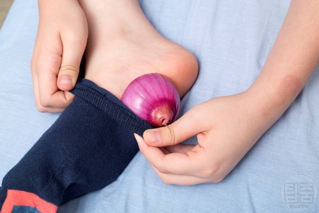 발바닥 양파 양말속에 양파 넣고자면