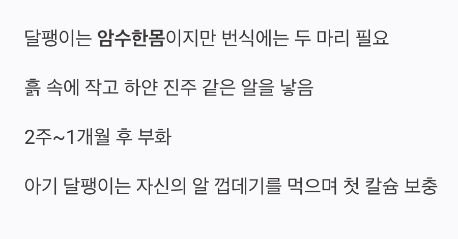 생명의 신비, 알 낳기와 부화