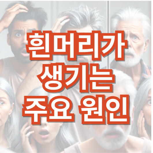 흰-머리-나는-이유-주요-원인