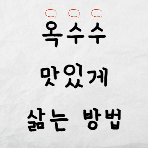 옥수수-맛있게-삶는방법