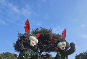 태안튤립박람회