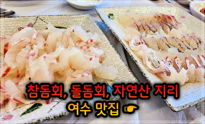 생방송 투데이 전남 여수 참돔회, 돌돔회 맛집