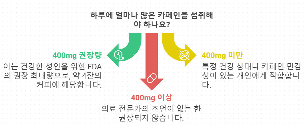 미국 성인의 적정 커피 소비량