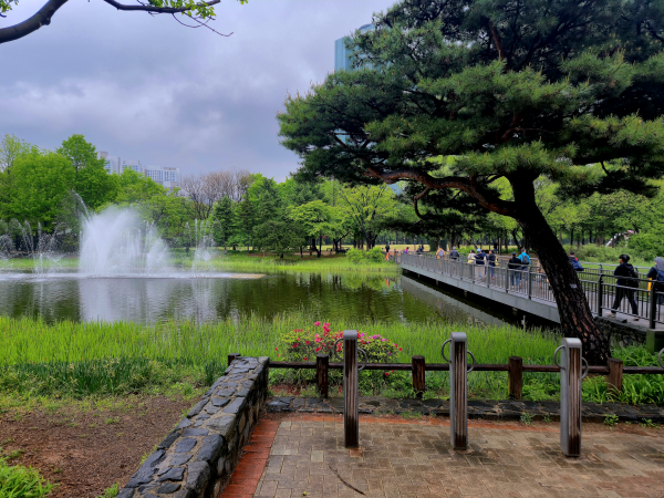 서울숲 호수 전경, 시원하게 물을 뿜는 분수와 호수 위 다리를 건너는 사람들, 주변의 푸른 나무들