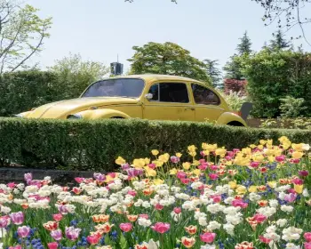 순천만 국가정원_16