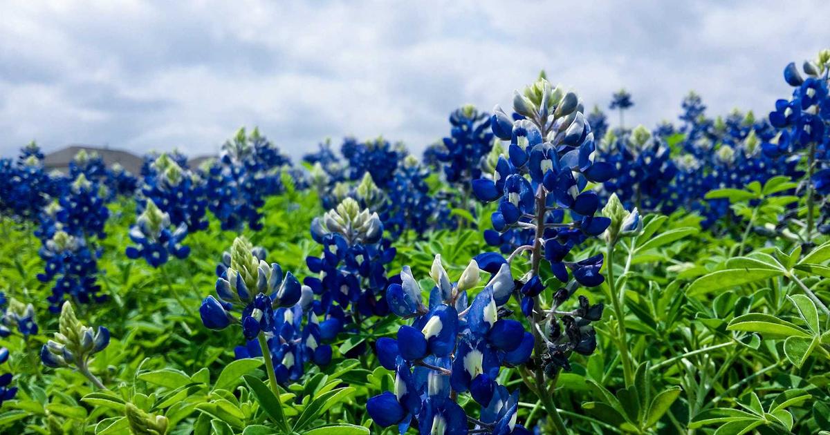 young couple reviewing rental contract on laptop with real estate agent