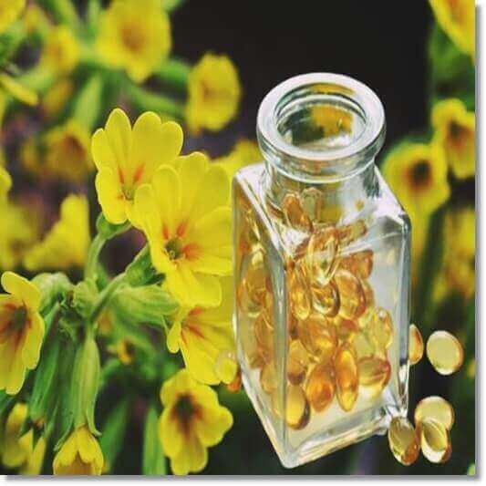 감마리놀렌산 효능 및 달맞이꽃종자유, 섭취량과 주의점