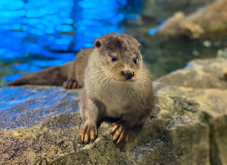 울진 아쿠아리움