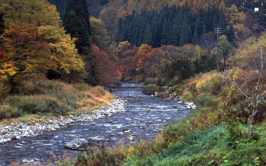 미야자키 자연 풍경사진