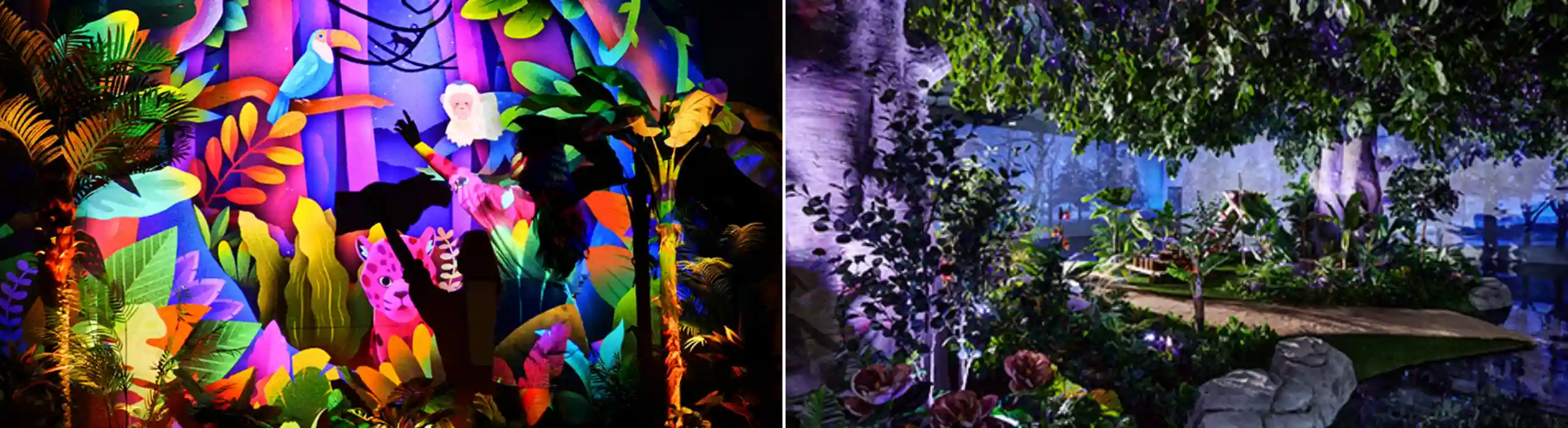 경주 정글의 법칙 사진