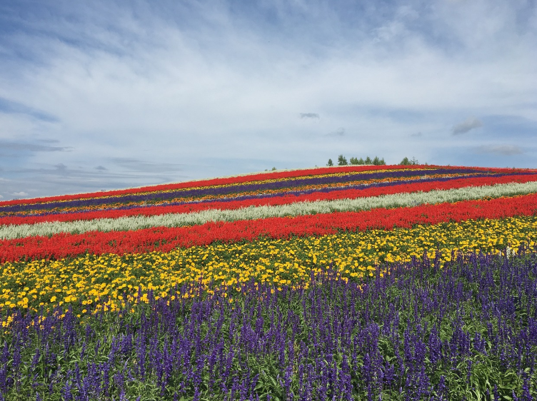 북해도 6월 날씨