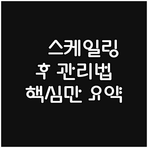 강아지 스케일링 후 관리법 이것만 기
