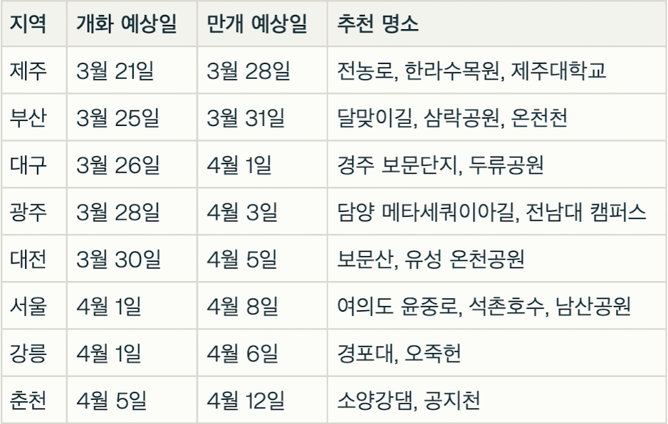2025년 벚꽃 개화시기 및 축제일정