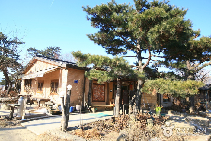 양평메기수염축제