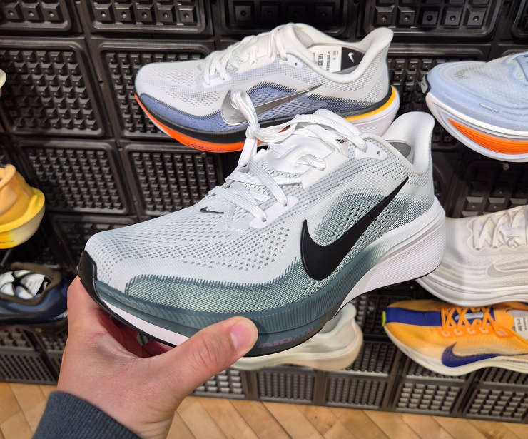 나이키 페가수스 42 완벽 분석