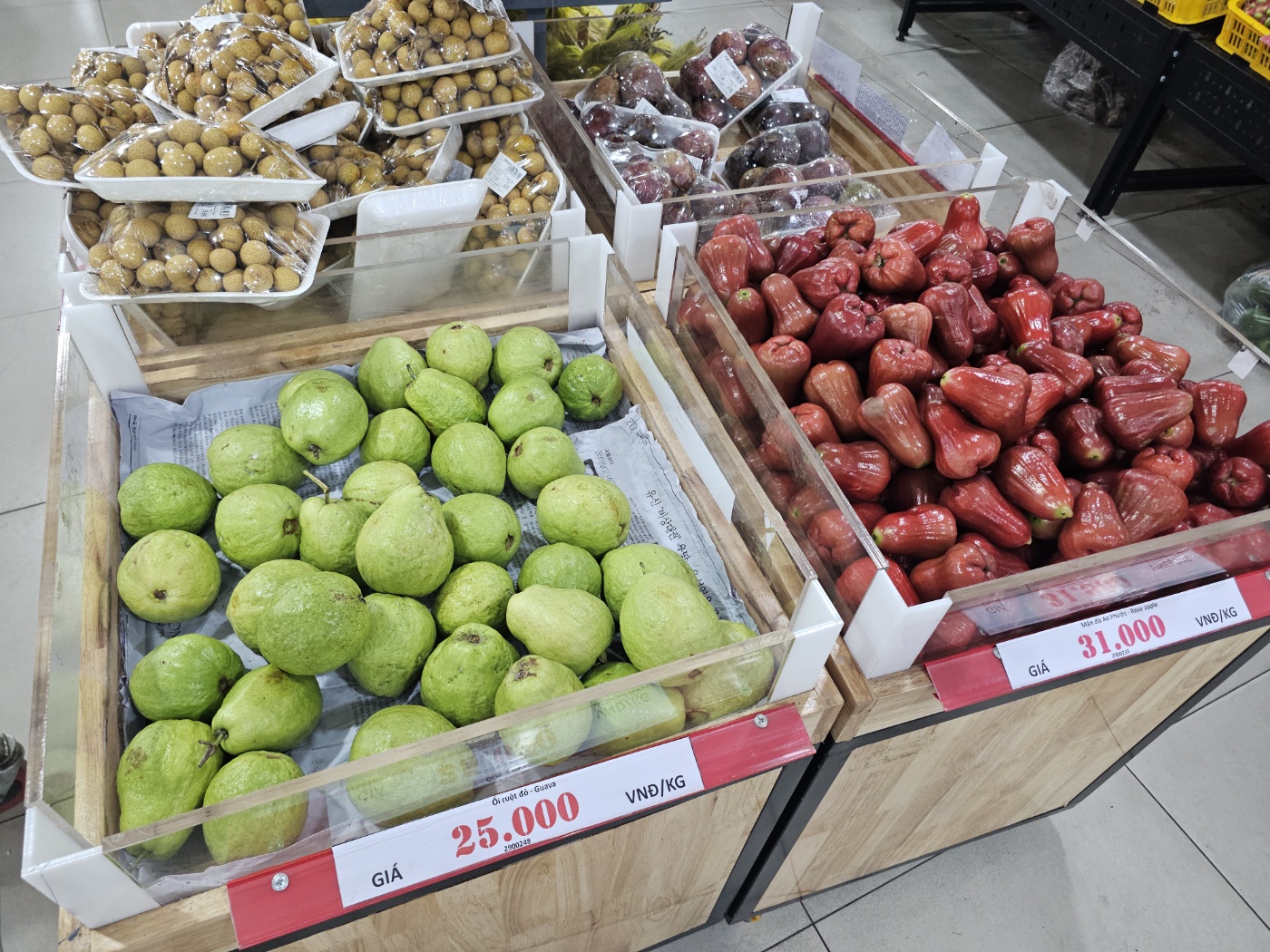 [25.3월] 푸꾸옥 #6&amp;#124;킹콩마트 방문 후기 &ndash; 기념품부터 장바구니까지 꽉 채운 쇼핑 타임