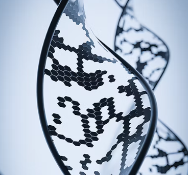 글루타치온 효능 부작용 복용법