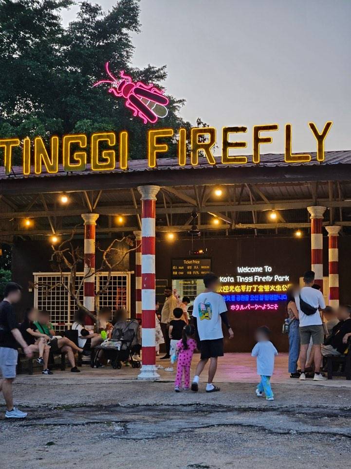 조호바루-코타팅기-반딧불투어