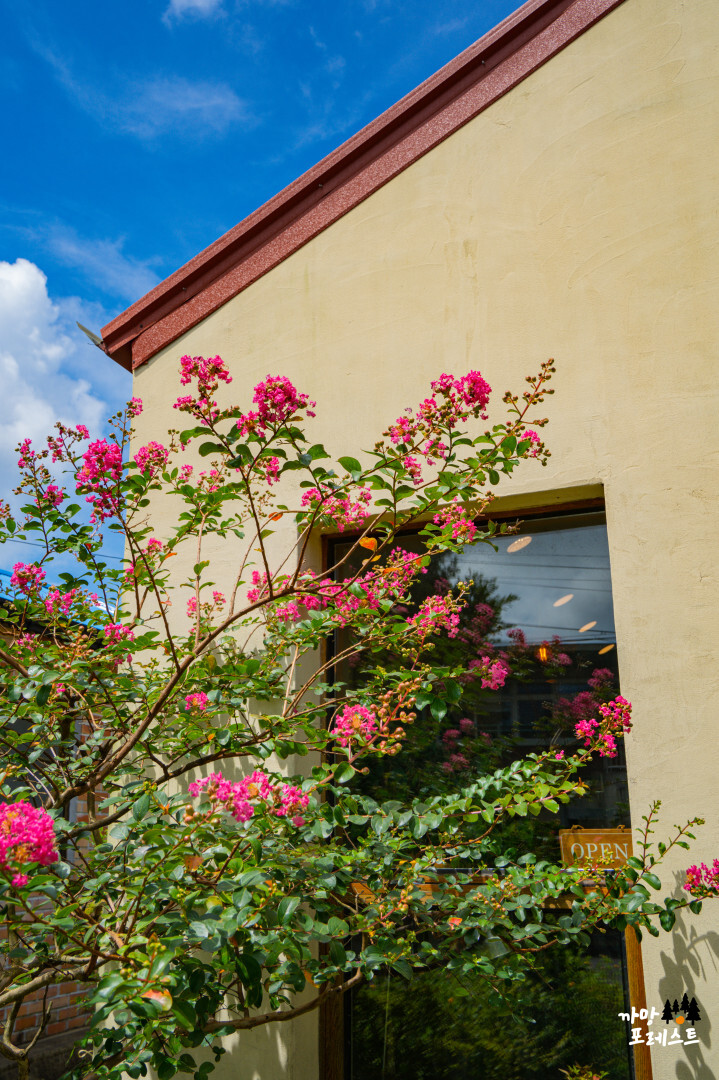 종달리 만나빵집 여름
