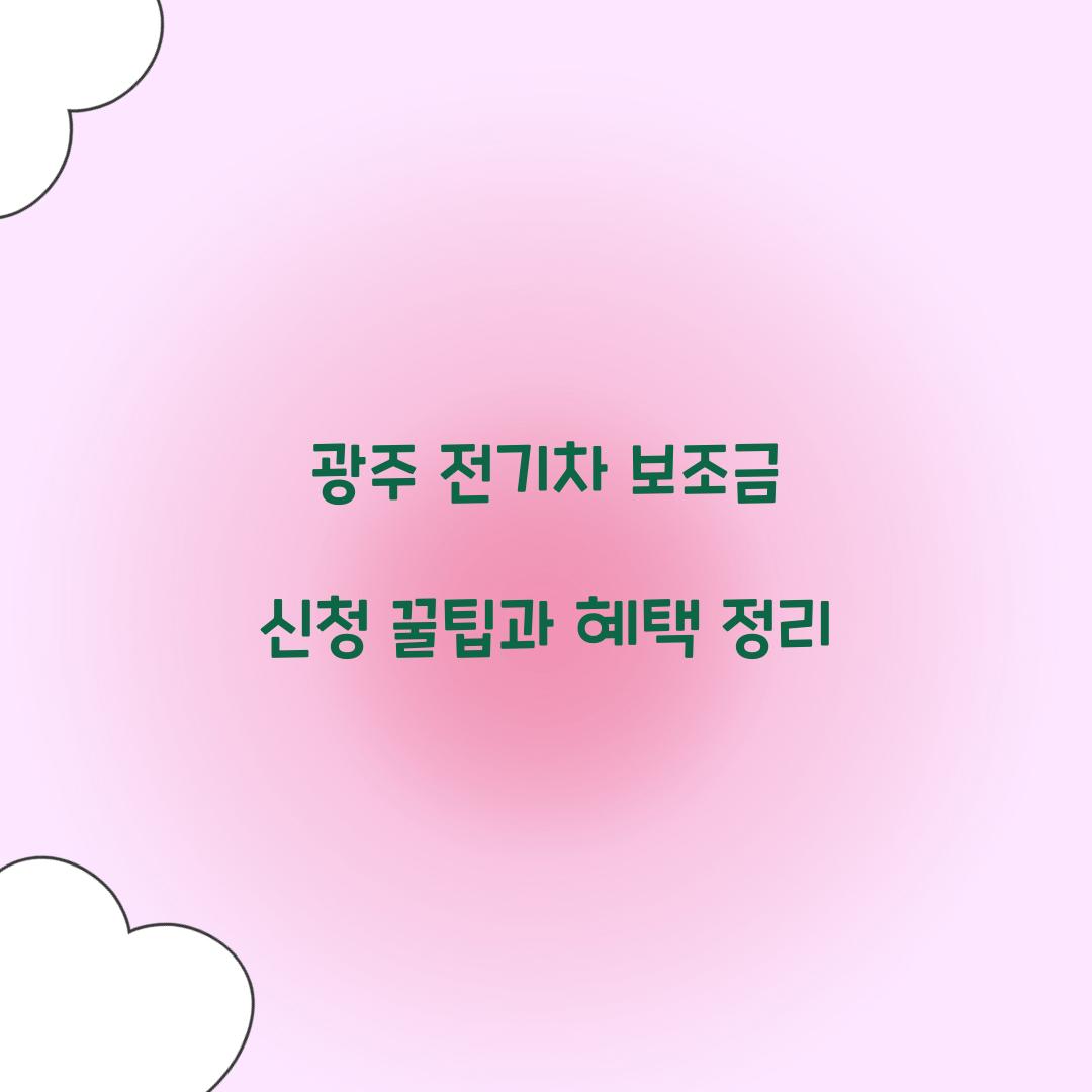 광주 전기차 보조금