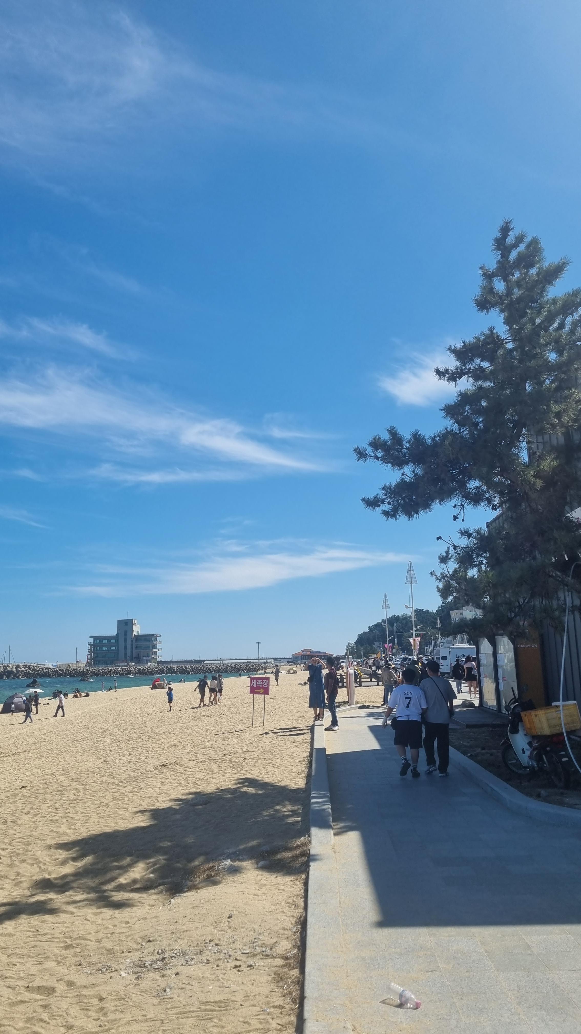 가을 여행지 추천 - 강릉 바다 경포대 경포호 안목 해변 카페 맛집 주차