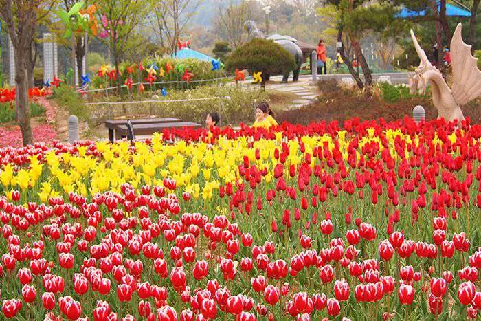 대전 오월드 플라워랜드