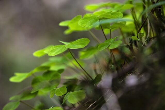  [2025 민생지원금] 