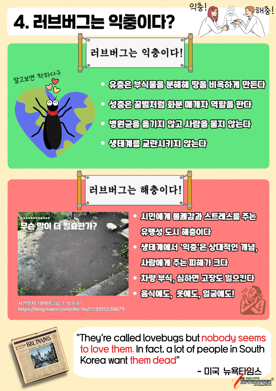 "그들은 돌아온다" 한여름의 검은 불청객, 러브버그의 모든 것(급증 원인 / 천적 / 퇴치 / 실생활 대처법)