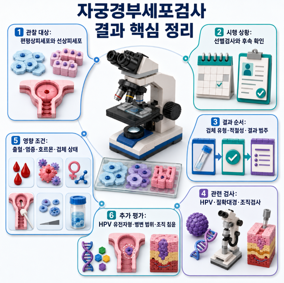 자궁경부세포검사의 관찰 대상, 시행 상황, 결과 순서, 관련 검사, 영향 조건과 추가 평가를 요약한 핵심 정리 이미지