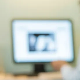 임신사전건강관리 신청 이미지