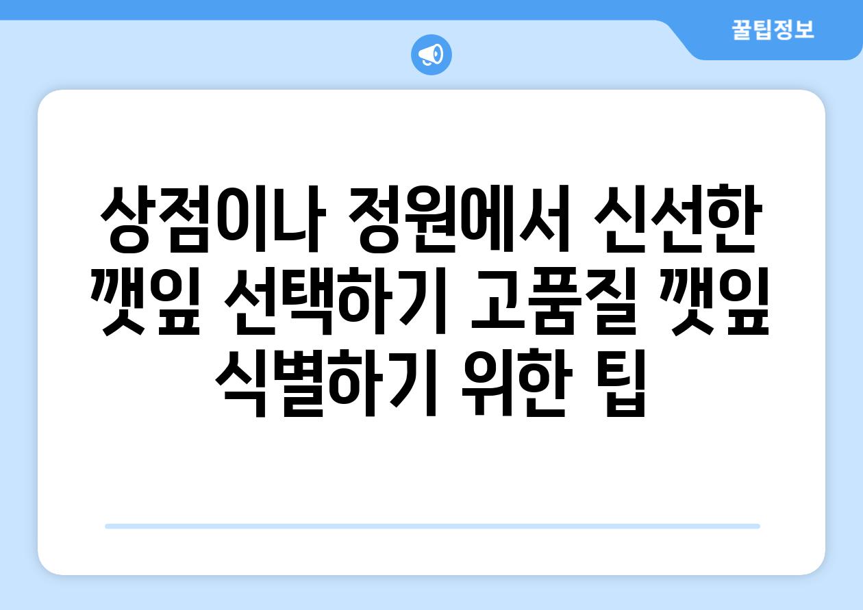 상점이나 정원에서 신선한 깻잎 선택하기 고품질 깻잎 식별하기 위한 팁