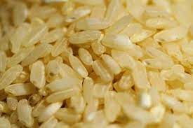 현미눈이 보이는 현미 근접샷