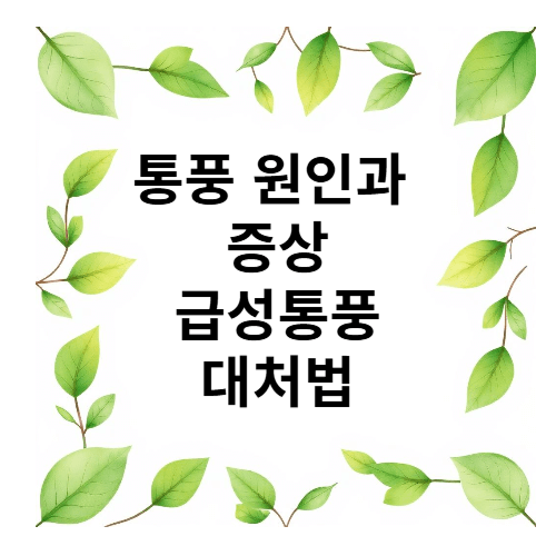 통풍 원인 증상 급성통풍