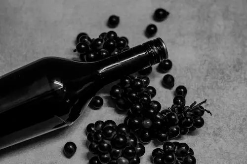 포도밭의 숨결이 담긴 와인