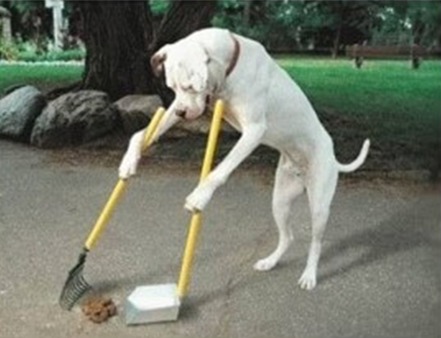 똥을 치우는 꿈