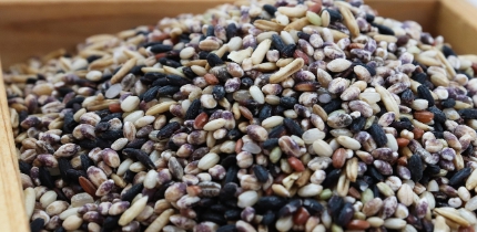 잡곡&amp;#44;현미 등은 섬유질이 많아 장에 남을 수 있음