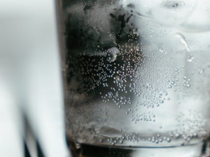 신장에 좋은 음식 나쁜 음식