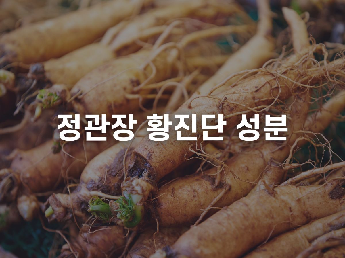 황진단 성분