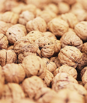 혈액순환에 좋은음식-견과류