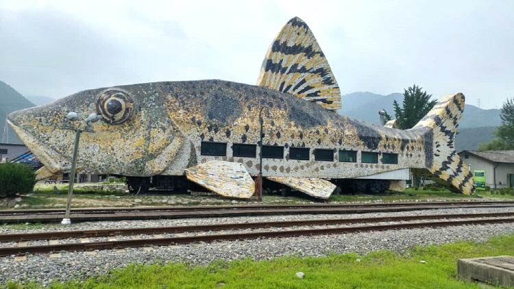 정선 레일바이크