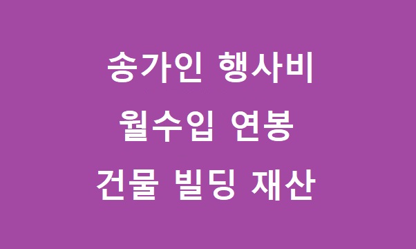 송가인 행사비